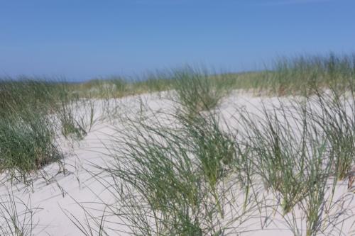 Langeoog Ferienwohnung Ferienhaus Katja und Ralf Heimes - Langeoog Flinthörndünen