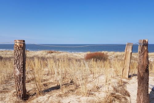 Langeoog Ferienwohnung Ferienhaus Katja und Ralf Heimes - Langeoog Promenade