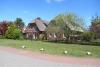 Langeoog Ferienhaus Ferienwohnanlage Ahlering - Am Wall