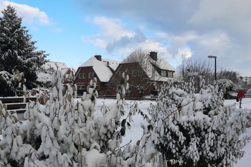 Langeoog Ferienhaus Ferienwohnanlage Ahlering - Am Wall - 20231201 103402 conv