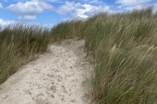Langeoog Ferienwohnung Kraft