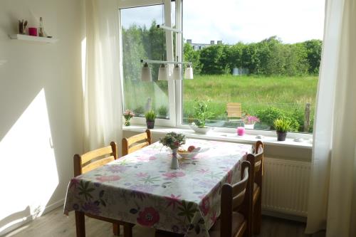 Langeoog Ferienwohnung Lachmöwe inkl. Saisonstrandkorb - Der Blick nach draußen