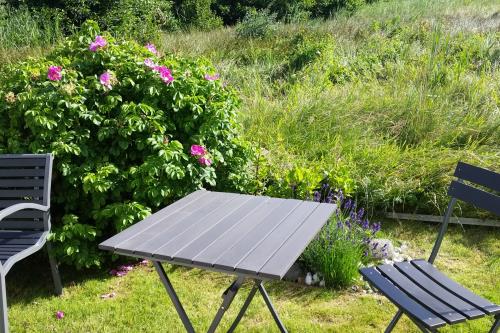 Langeoog Ferienwohnung Lachmöwe inkl. Saisonstrandkorb