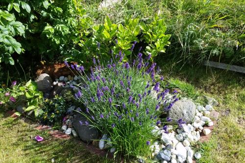 Langeoog Ferienwohnung Lachmöwe inkl. Saisonstrandkorb