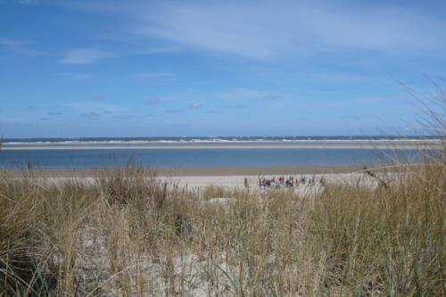 Langeoog Ferienwohnung Strandkorb