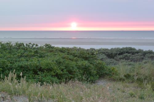 Langeoog Ferienwohnung Strandkorb