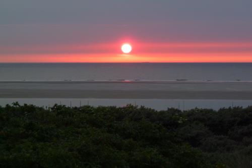 Langeoog Ferienwohnung Strandkorb