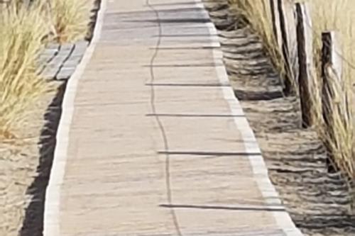 Langeoog Ferienwohnung Habbos Hus