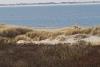 Langeoog Ferienwohnung Habbos Hus