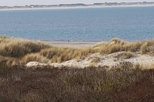 Langeoog Ferienwohnung Habbos Hus