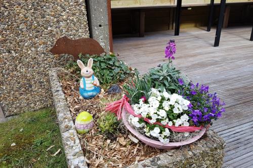 Langeoog Ferienwohnung Habbos Hus