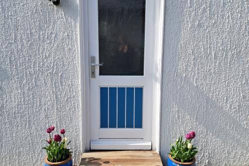 Langeoog Ferienwohnung Achter't Dörp - Begrüßung mit Tulpen