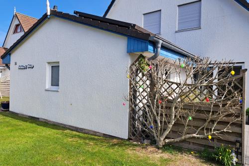 Langeoog Ferienwohnung Achter&#39;t Dörp - Ostereierbaum