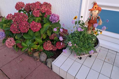 Langeoog Ferienwohnung Achter&#39;t Dörp - Herbstbild
