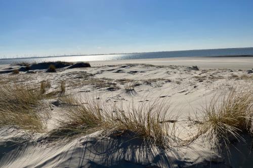 Langeoog Ferienwohnung Haus Apollonia - Dünen