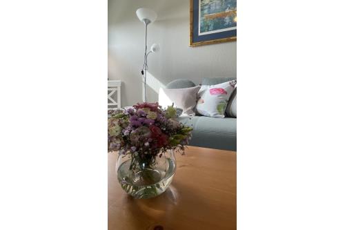 Langeoog Ferienwohnung Haus Hofer - Links - Haus Hofer links3