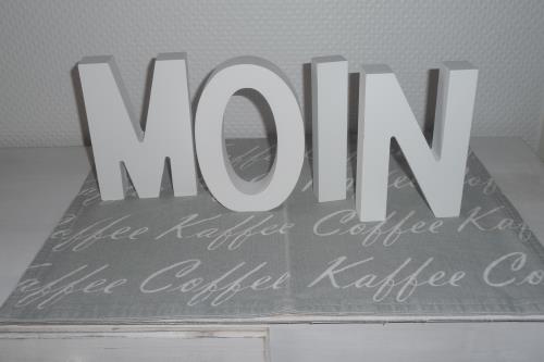 Langeoog Ferienwohnung Haus Seeschwalbe