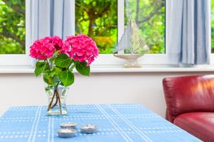 Haus Strandvogt Wohnung Strandrose