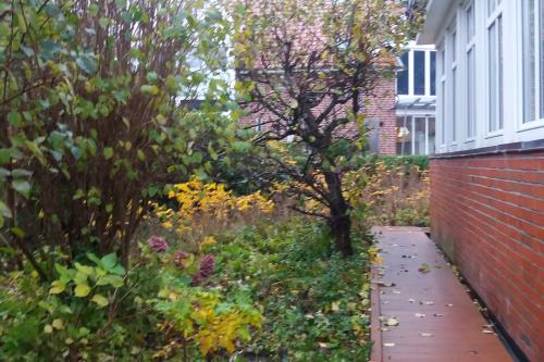 Langeoog Ferienwohnung Haus Strandvogt Wohnung Strandrose - 2 - Ausstattung 13