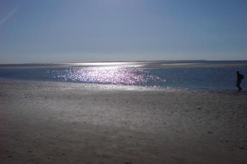 Langeoog Ferienwohnung Inselherz im Haus am Kurzentrum - Mehr vom Meer