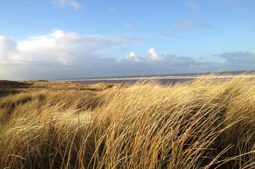 Langeoog Ferienwohnung Inselherz im Haus am Kurzentrum - Dünengras