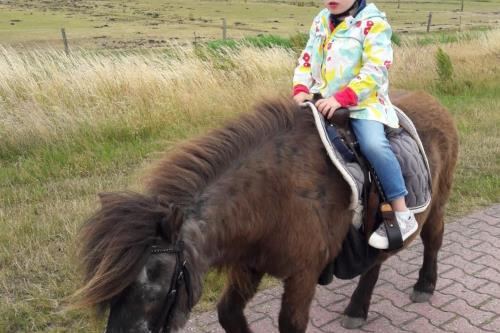 Langeoog Ferienwohnung Inge Axhausen F***