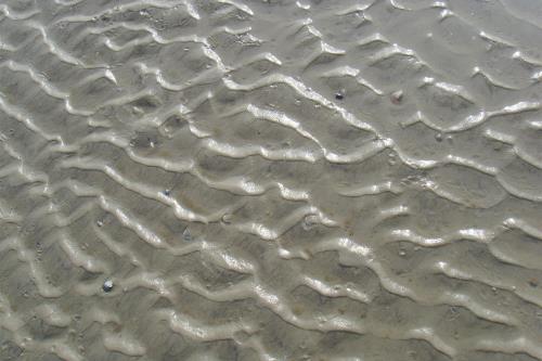 Langeoog Ferienwohnung Inge Axhausen F***