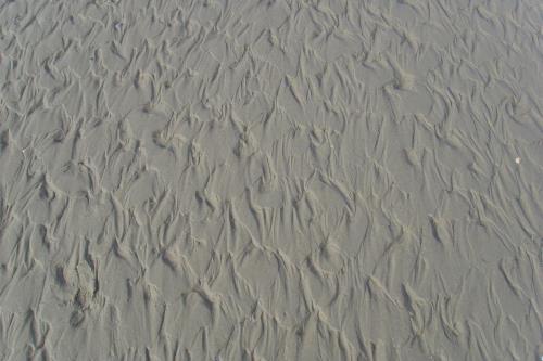 Langeoog Ferienwohnung Inge Axhausen F***