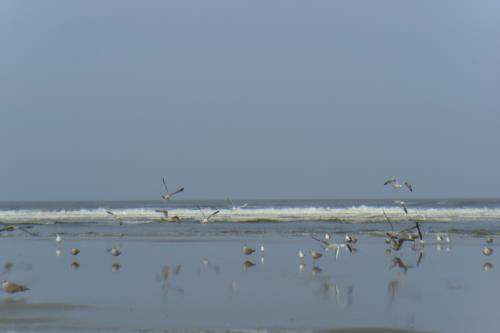 Langeoog Ferienwohnung Inge Axhausen F***