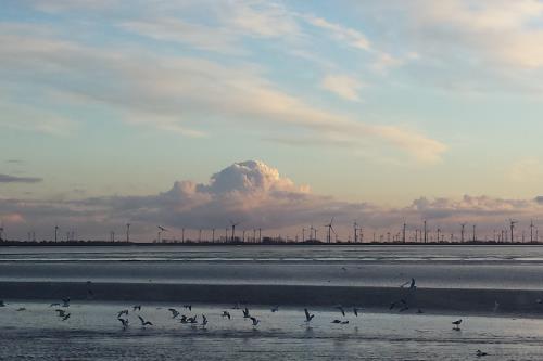 Langeoog Ferienwohnung Inge Axhausen F***