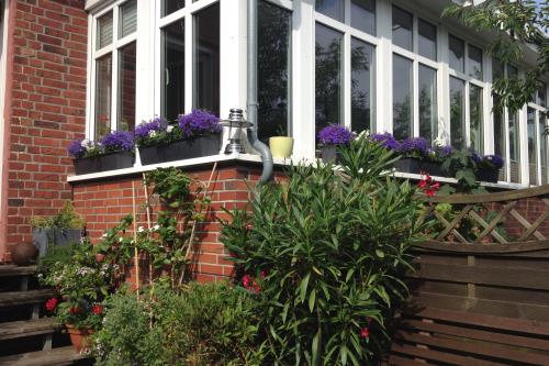 Langeoog Ferienwohnung Julia Neumann - Garten/Außenansicht