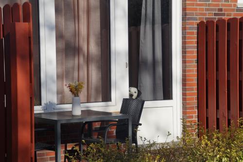 Langeoog Ferienwohnung Langeooger Küstenzauber