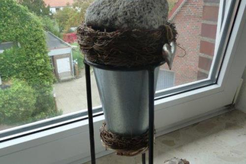 Langeoog Ferienwohnung Muschelsöker - KREBS & KRABBE - Deko