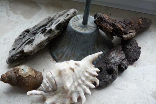 Langeoog Ferienwohnung Muschelsöker - KREBS & KRABBE - Deko