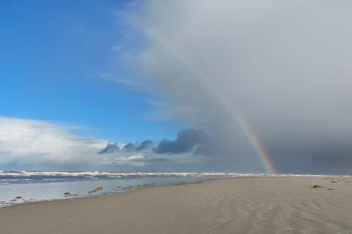 Langeoog Ferienhaus Residenz Inseltraum (Doppelhaushälfte) - Januarstille
