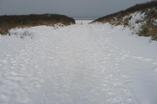 Langeoog Ferienhaus Residenz Inseltraum (Doppelhaushälfte) - Dünenweg im Schnee