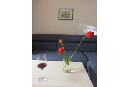 Langeoog Ferienhaus Schimmelreiter - ...passt! Würde man wohl in Bayern sagen