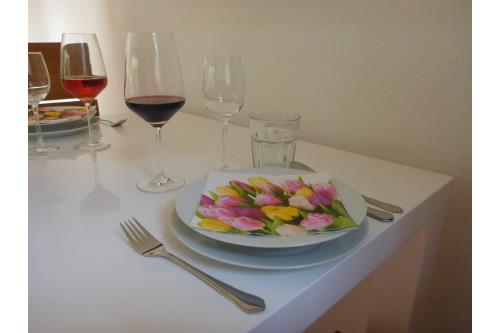 Langeoog Ferienhaus Schimmelreiter - -- schön --