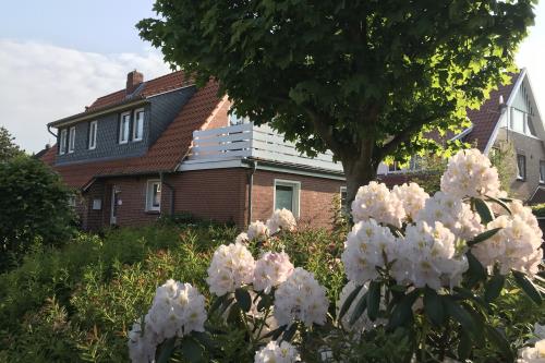 Langeoog Ferienwohnung Sprotte