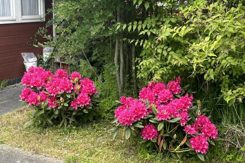 Langeoog Ferienwohnung Sprotte