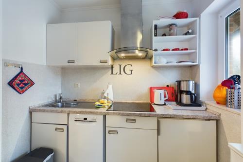 Langeoog Ferienwohnung Strandhaus - Lachmöwe - CAM04236G0 PR0019 STILL017