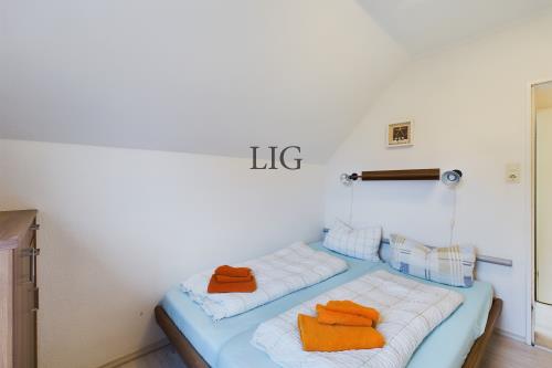 Langeoog Ferienwohnung Strandhaus - Lachmöwe - CAM04236G0 PR0019 STILL005