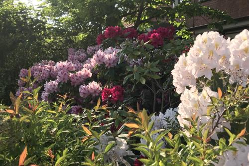 Langeoog Ferienhaus Um&#39;s Eck