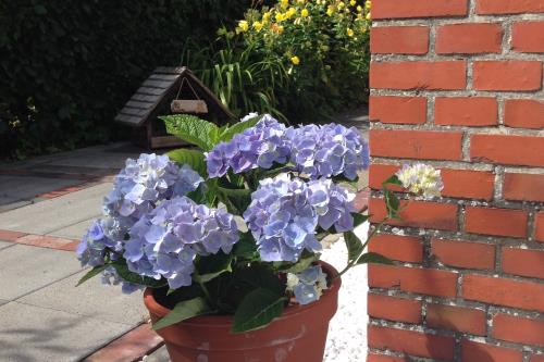 Langeoog Ferienhaus Um&#39;s Eck