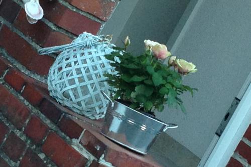 Langeoog Ferienhaus Um&#39;s Eck