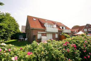 Us Langeoog - Palsteg