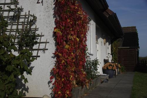 Langeoog Ferienwohnung Haus Dittrich - Sommer/Herbst