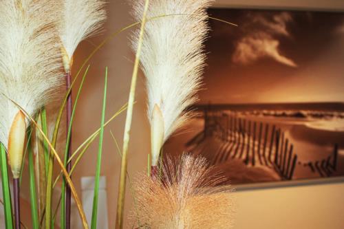 Langeoog Ferienwohnung Inselliebe Langeoog