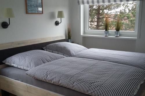 Langeoog Ferienwohnung Us Langeoog - Kajüte 22 - Schlafzimmer I