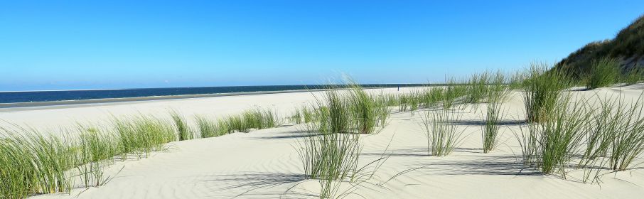 Borkum Vordünen